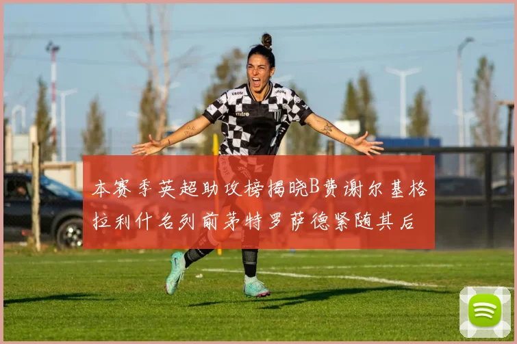 本赛季英超助攻榜揭晓B费谢尔基格拉利什名列前茅特罗萨德紧随其后